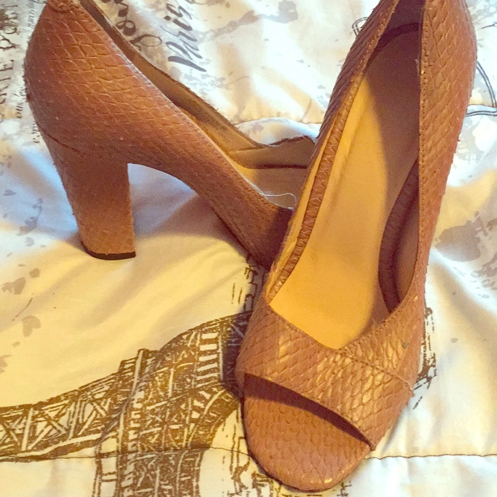 Talbots heals